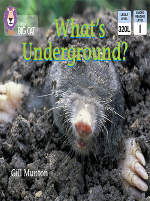 cover image of Collins Big Cat – What's Underground